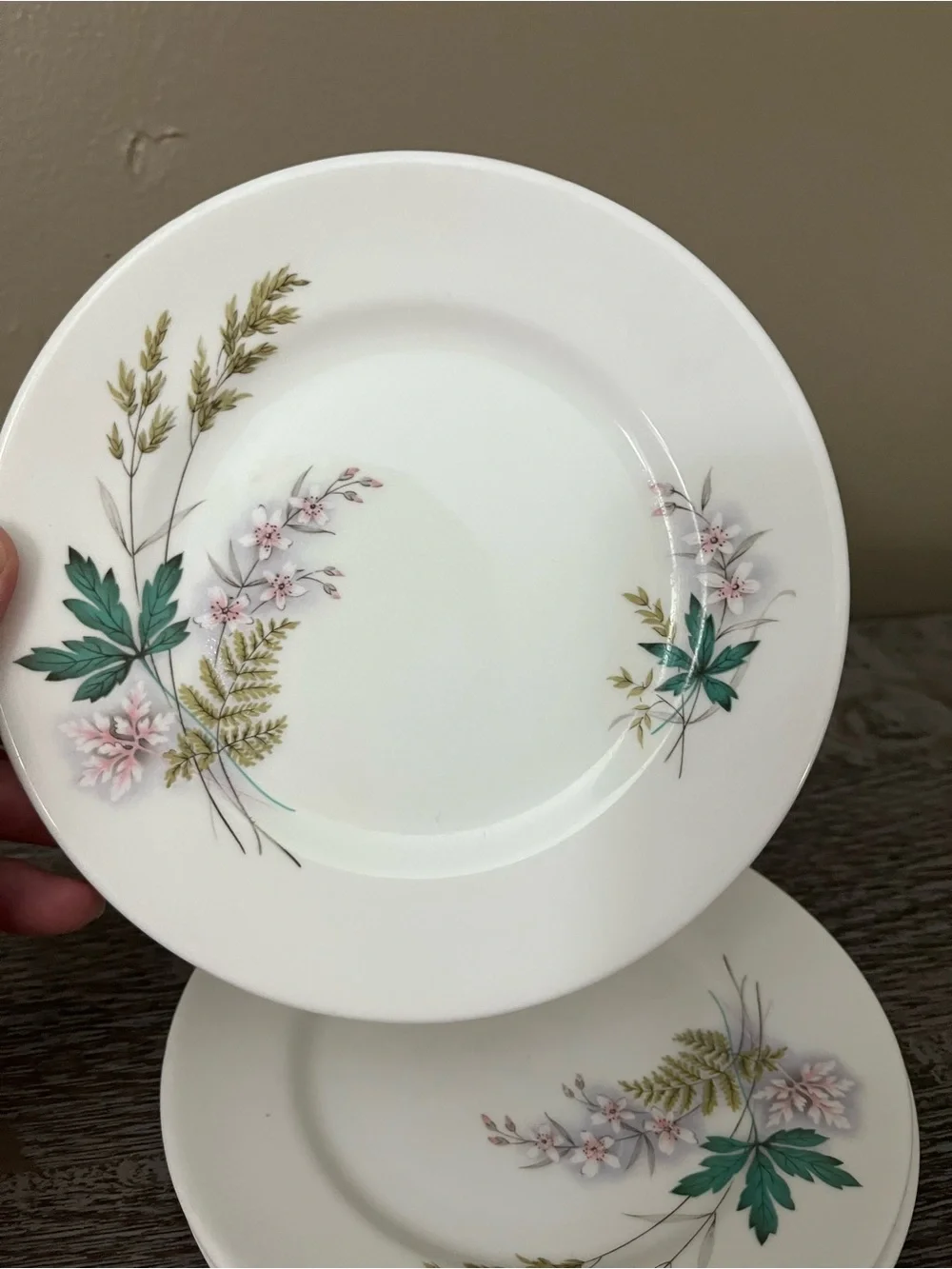 Vintage Queen Anne bone china plate in the Louise pattern, set of six